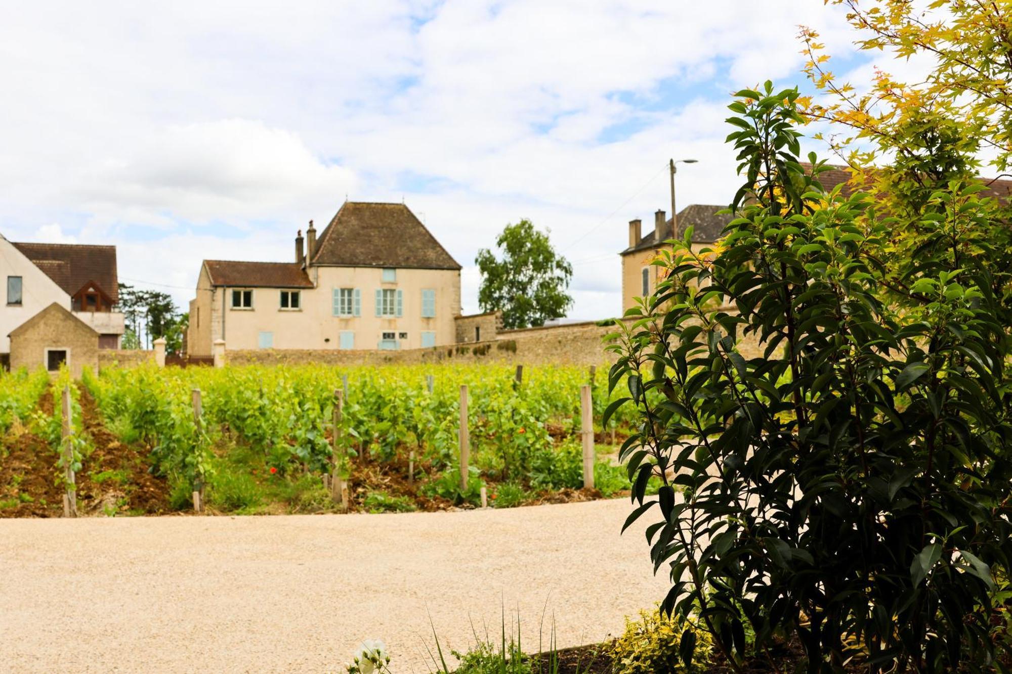 Hotel Particulier Adult Only Les Reveries Du Clos Spa Degustation Et Diner Sur Reservation ポマール エクステリア 写真